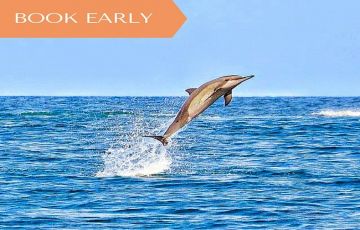 Pleasurable 7 Days Port Louis Vacation Package