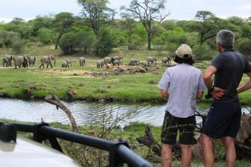 Pleasurable Dar Es Salaam Tour Package for 3 Days