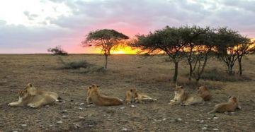 Pleasurable Dar Es Salaam Tour Package for 3 Days