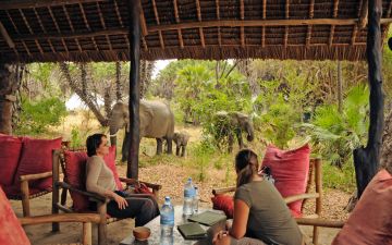Experience 3 Days 2 Nights Dar Es Salaam Tour Package