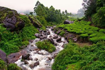 Magical 3 Days 2 Nights Munnar with Cochin Holiday Package