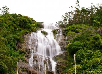 Ecstatic 3 Days Munnar with Cochin Tour Package