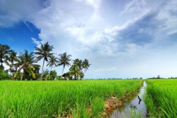 Magical 3 Days Cochin with Alleppey Tour Package