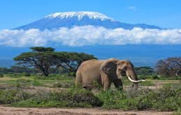 Heart-warming 8 Days Nairobi to Aberdare National Park Trip Package