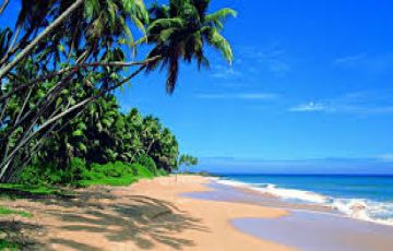 Pleasurable 8 Days 7 Nights Negombo Holiday Package