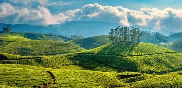 Best 5 Days Munnar, Thekkady and Alleppey Tour Package