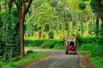 Best 2 Days Athirapally with Cochin Tour Package