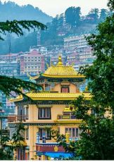 Family Getaway 4 Days Shimla with Delhi Holiday Package