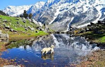 Magical 11 Days Shimla, Manali, Dharamshala and Dalhousie Holiday Package