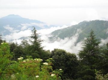 Pleasurable 6 Days Shimla, Kufri, Kullu with Rohtang Pass Trip Package