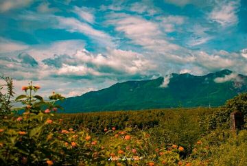 Family Getaway Dehradun Tour Package for 6 Days 5 Nights from Delhi