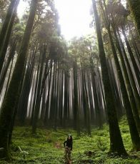 5 Days Gangtok, Darjeeling with Silliguri Tour Package