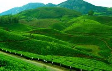 Ecstatic Munnar Sightseeing Tour Package for 2 Days