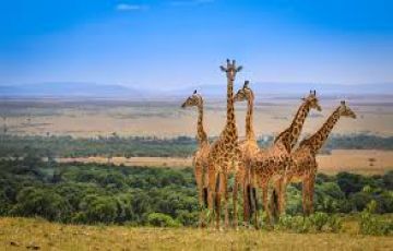 Family Getaway 6 Days Nairobi to Amboseli Tour Package