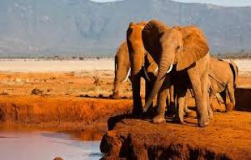 Heart-warming 4 Days Amboseli, Tsavo with Nairobi Holiday Package