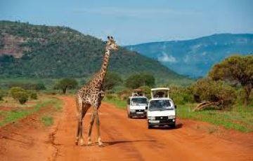 Heart-warming 4 Days Amboseli, Tsavo with Nairobi Holiday Package