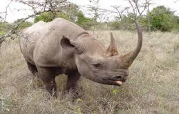 Memorable Ol Pejeta Sweetwaters Tour Package for 3 Days 2 Nights