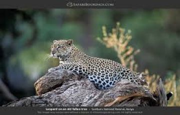 Memorable Samburu Tour Package for 3 Days