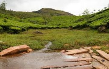 Magical 4 Days Kerala and Cochin Holiday Package