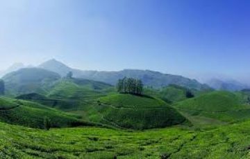 Magical 4 Days Kerala and Cochin Holiday Package