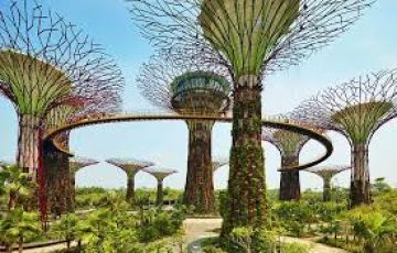 Singapore Tour Package from Marina Bay Sand