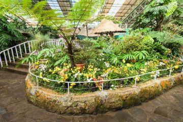 6 Days 5 Nights Darjeeling to Gangtok Tour Package