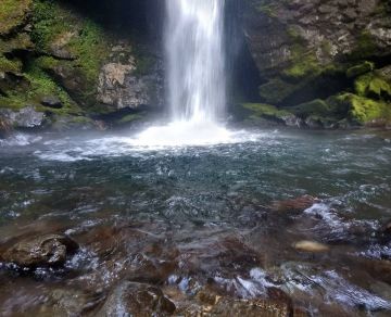 6 Days 5 Nights Darjeeling to Gangtok Tour Package