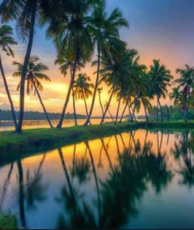 Munnar Tour Package for 4 Days 3 Nights