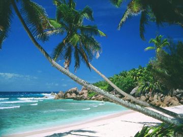7 Days 6 Nights Depart From Goa to Arrive To Goa Vacation Package