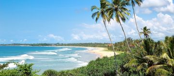 Amazing 7 Days Colombo to Kandy Vacation Package