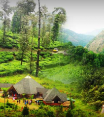 Best 5 Days Munnar Trip Package