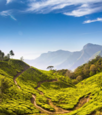 Experience 3 Days 2 Nights Munnar with Thekkady Vacation Package
