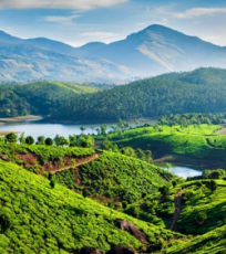 Experience 3 Days 2 Nights Munnar with Thekkady Vacation Package