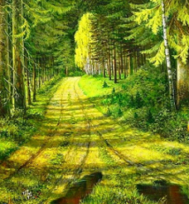 Ecstatic 4 Days 3 Nights Kovalam Holiday Package