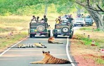 Amazing 3 Days 2 Nights Nagpur, Tadoba with Nagpur Trip Package