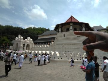 Kandy, Nuwara-eliya and Colombo Tour Package from Colombo