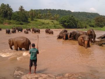Kandy, Nuwara-eliya and Colombo Tour Package from Colombo