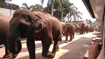 Kandy, Nuwara-eliya and Colombo Tour Package from Colombo