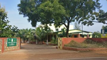 Tadoba Tour Package for 6 Days from Nagpur