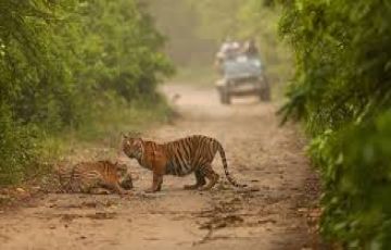 Magical 4 Days Corbett, Ranikhet and Delhi Trip Package