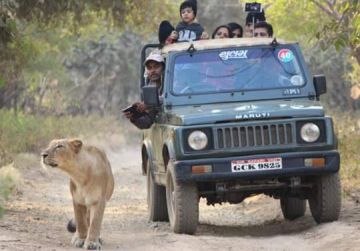 Magical 3 Days 2 Nights Sasan Gir and Ahmedabad Holiday Package