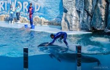 5 Days 4 Nights Departure From Bangkok Airport to Pattaya Tour Package