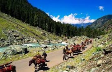 Family Getaway Sonmarg Day Trip Tour Package for 4 Days 3 Nights