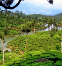 Experience 5 Days Alleppey to Munnar Tour Package