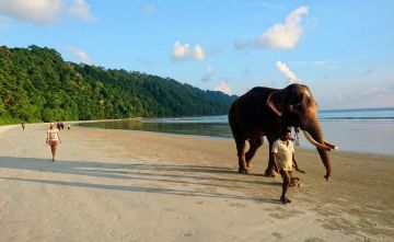 Port Blair Tour Package for 6 Days 5 Nights