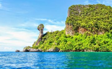 Ecstatic 2 Days 1 Night Pattaya with Coral Island Tour With Lunch Tour Package