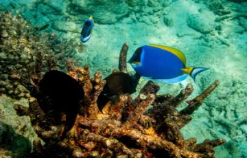 Beautiful 4 Days 3 Nights Port Blair Holiday Package by LOGIX DESTINATIONS