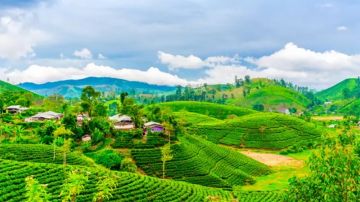 Best Kalimpong Tour Package from Bagdogra