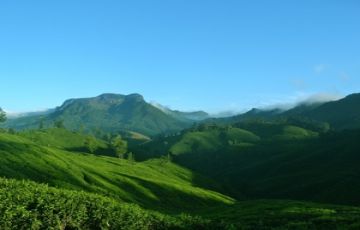 Munnar and Cochin Tour Package for 6 Days 5 Nights from Cochin