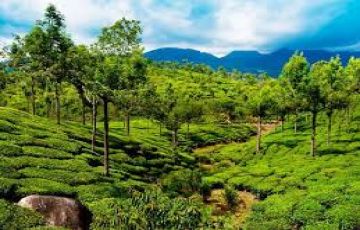 Beautiful Thekkady Tour Package for 8 Days from Cochin